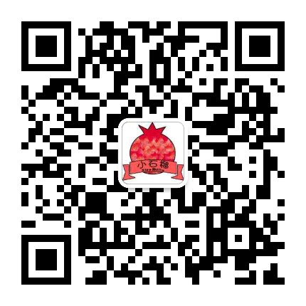 企业网站设计制作维护 襄阳小石榴网络科技有限公司