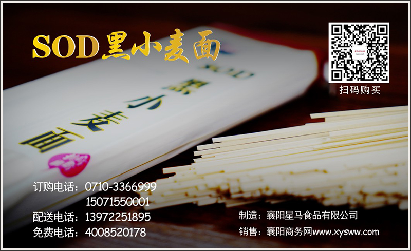 襄阳星马,锻炼不如吃面,万笛,襄阳商务网 襄阳星马,锻炼不如吃面,万笛,襄阳商务网