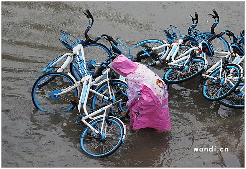 小可爱雨中扶起倒地的共享单车
