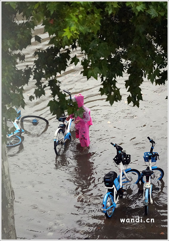 小可爱雨中扶起倒地的共享单车